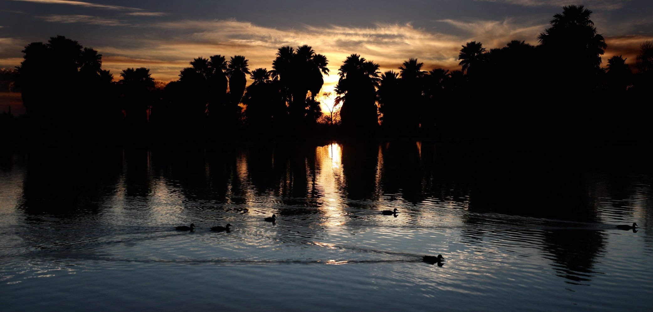 Agua Caliente Park, Tucson